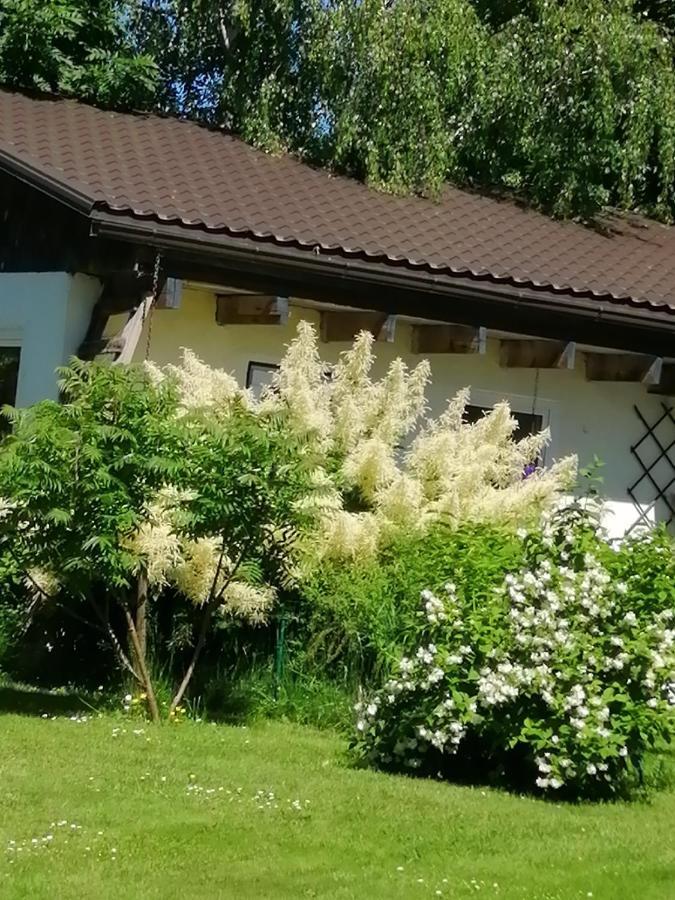 Вілла Secret Garden House In The Center Of Сігулда Екстер'єр фото
